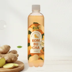 Kombucha EVA – Ghimbir