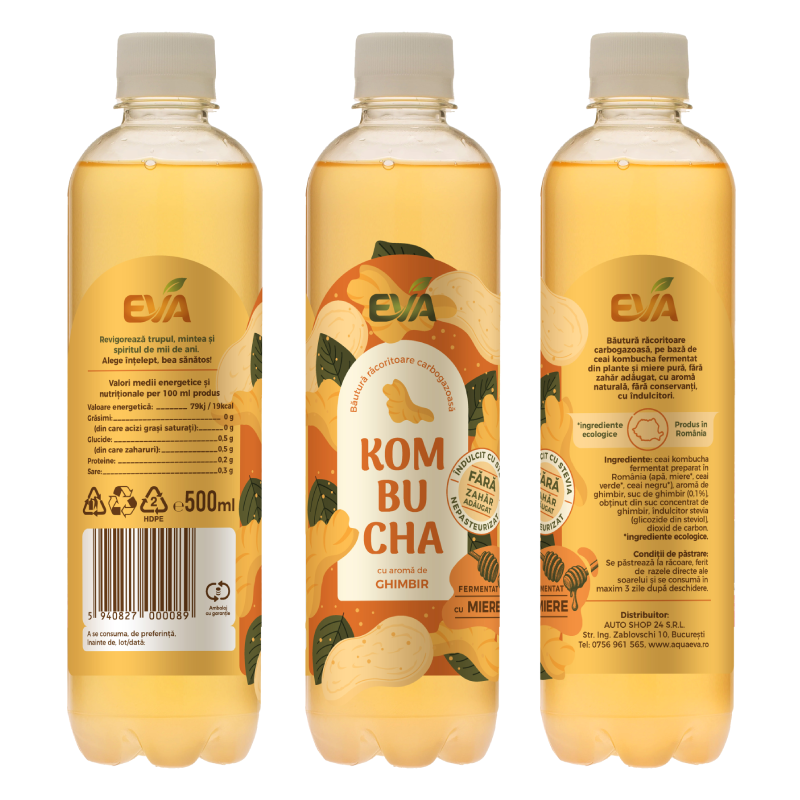 Kombucha EVA – Ghimbir - imagine 2