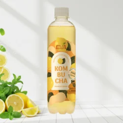 Kombucha EVA – Menta si Lamaie