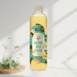 Kombucha EVA – Pelin